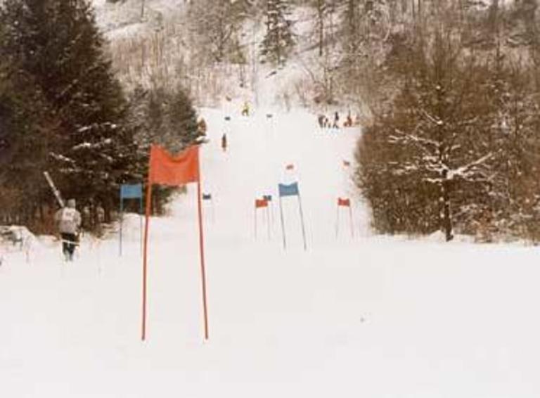 Clubmeisterschaft alpin 1995