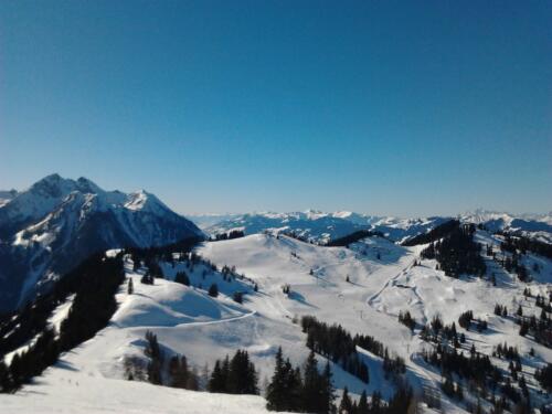 11_2013-03-04 14.43.11.jpg