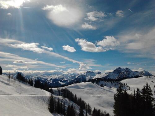 11_2013-03-07 14.01.06.jpg