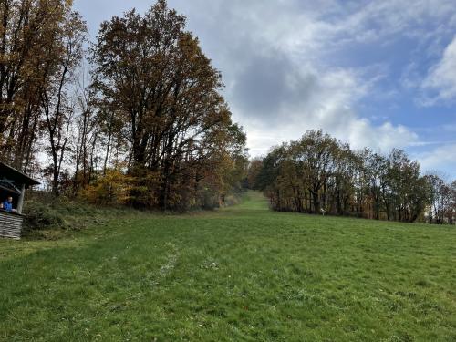 Webcam-Bild, hochgeladen am 13.11.2023, 21:42 Uhr