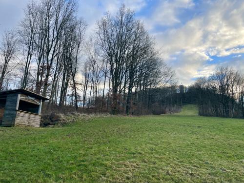 Webcam-Bild, hochgeladen am 25.02.2024, 16:11 Uhr