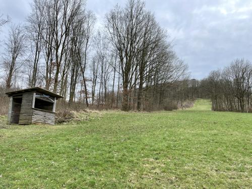 Webcam-Bild, hochgeladen am 17.03.2024, 14:26 Uhr