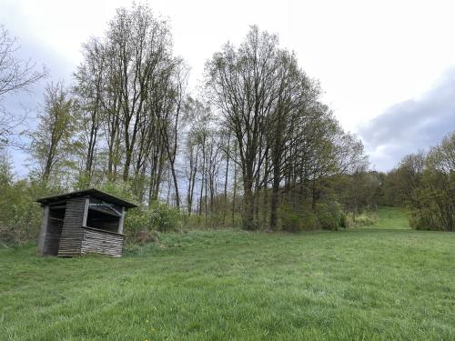 Webcam-Bild, hochgeladen am 24.04.2024, 16:55 Uhr