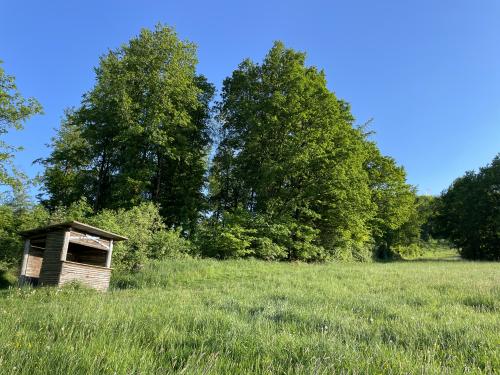 Webcam-Bild, hochgeladen am 14.05.2024, 16:56 Uhr