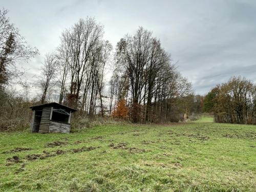 Webcam-Bild, hochgeladen am 24.11.2024, 10:59 Uhr