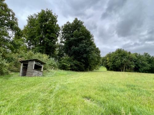 Webcam-Bild, hochgeladen am 17.08.2025, 15:17 Uhr