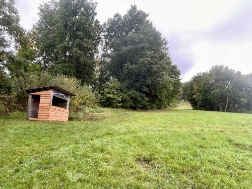 Webcam-Bild, hochgeladen am 21.09.2025, 09:56 Uhr