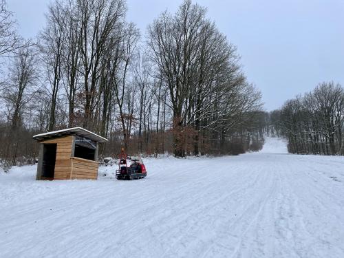 Webcam-Bild, hochgeladen am 01.02.2026, 11:25 Uhr