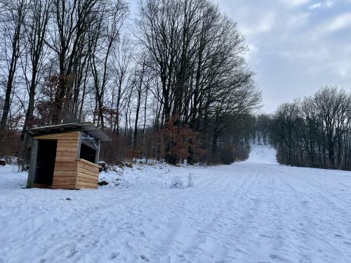 Webcam-Bild, hochgeladen am 08.02.2026, 15:30 Uhr